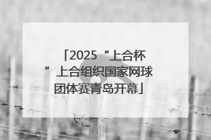 2025“上合杯”上合组织国家网球团体赛青岛开幕